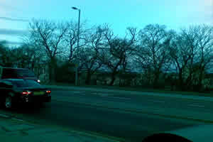 Site photo for this monitoring site