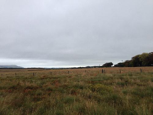Site photo for this monitoring site