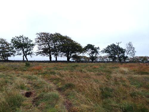 Site photo for this monitoring site