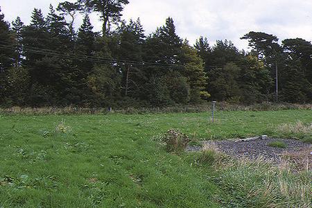 Site photo for this monitoring site