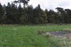 East
