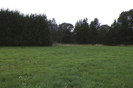 Site photo for this monitoring site
