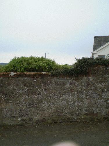Site photo for this monitoring site