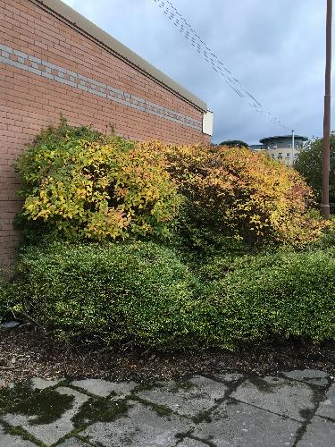 Site photo for this monitoring site