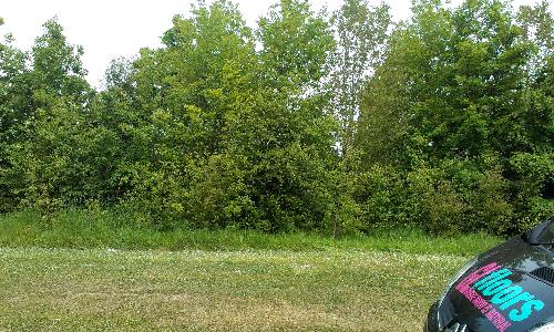 Site photo for this monitoring site
