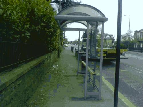 Site photo for this monitoring site