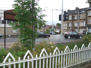 Site photo for this monitoring site