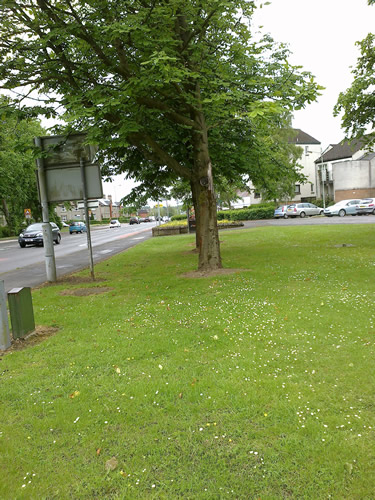 Site photo for this monitoring site