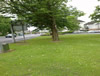 South
