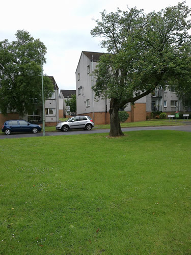Site photo for this monitoring site