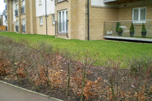 Site photo for this monitoring site