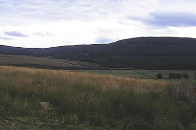 Site photo for this monitoring site