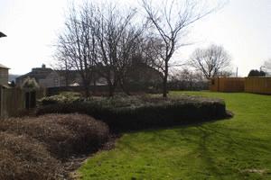 Site photo for this monitoring site