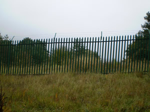 Site photo for this monitoring site