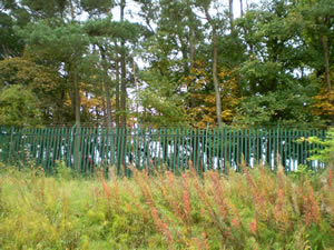 Site photo for this monitoring site
