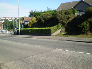 Site photo for this monitoring site