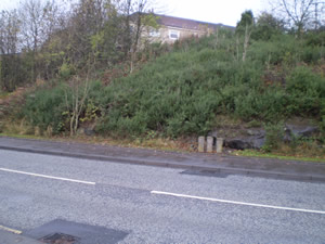 Site photo for this monitoring site