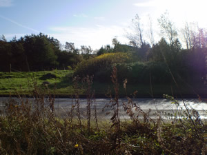 Site photo for this monitoring site