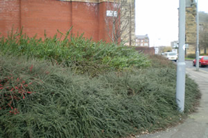 Site photo for this monitoring site