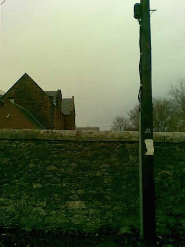Site photo for this monitoring site