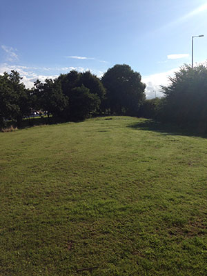 Site photo for this monitoring site