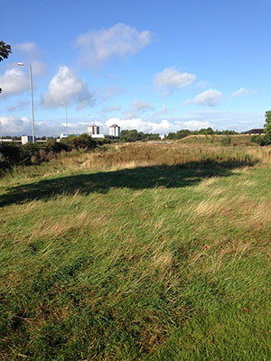 Site photo for this monitoring site