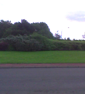 Site photo for this monitoring site