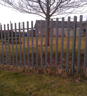 Site photo for this monitoring site