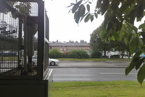 Site photo for this monitoring site