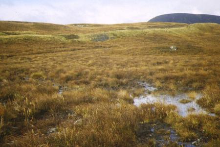 Site photo for this monitoring site