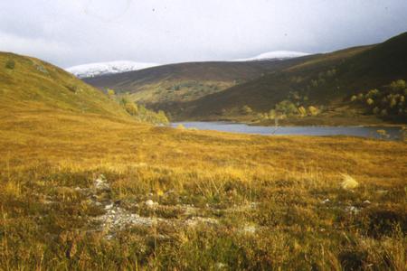 Site photo for this monitoring site