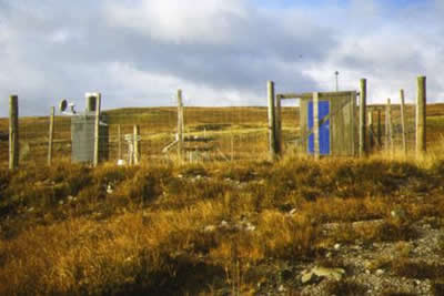 Site photo for this monitoring site
