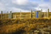 Site