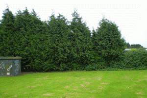 Site photo for this monitoring site