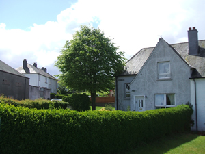 Site photo for this monitoring site